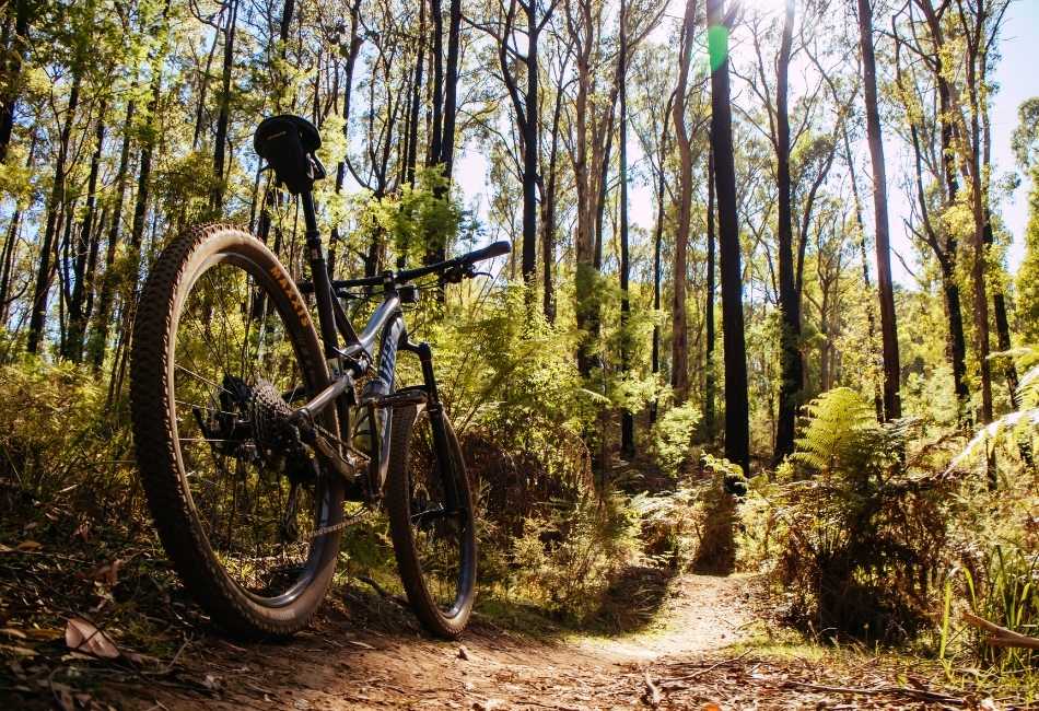 creacion de senderos